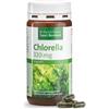Kräuterhaus Sanct Bernhard Capsule di Clorella"