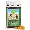 Kräuterhaus Sanct Bernhard tierlieb Capsule con il complesso della vitamina B per cani e gatti"