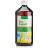 Kräuterhaus Sanct Bernhard Olio di colza biologico"