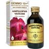 DR.GIORGINI SER-VIS Srl AMPELOPSIS V (VITE CAN)100ML LIQ AN