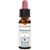 Erba Vita Hornbeam original gocce 10 ml - 904725227 - igiene-e-salute/rimedi-omeopatici/tinture-madri