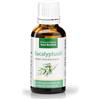 Kräuterhaus Sanct Bernhard Olio di eucalipto / olio essenziale"