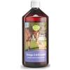 Kräuterhaus Sanct Bernhard tierlieb Olio di lino Omega-3-6-9"