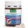 Kräuterhaus Sanct Bernhard Capsule di UC-II"