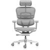 Procomfort ERGOHUMAN ELITE EVOLUTION TASC Struttura Grigia - Rete Grigia