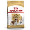 ROYAL CANIN CANE ADULTO CAVALIER KING 7,5 KG