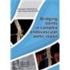 Bridging stents in complex endovascular aortic repair
