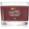 Yankee Candle Autumn Daydream 37 g