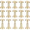 QUARKZMAN 25Pack Viti Chicago in Ottone, 10x10mm Testa Piatta Chiodo Rivetto per Fai Da Te Cinture in Pelle, Oro