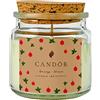 CANDÒR Mini candele profumate in Cera di Soia Artigianale Made in Italy - Piccola Candela Bianca di San Valentino in Vasetto di Vetro con Confezione Regalo - Berry Wine