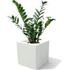 Kloris Vaso Moderno Cubo Fioriera Quadrata mod. Ellenico 45 polietilene Bianco cm 45x45 altezza cm 45. Made in Italy.