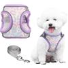 PawSailor Pettorina per Cani Media Anti-trazione con Guinzaglio, Step-in Regolabile Traspirante Riflettente di Sicurezza Notturna con Stampa Floreale, Pettorina per Gilet Imbottita Morbida, Lavanda L