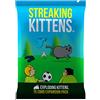 Exploding Kittens Streaking Kittens: Questa è la seconda espansione