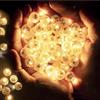 Capaneus Mini luci a LED, 60 pezzi, mini luci a LED, sfere luminose, piccole sfere a LED, per lanterna di carta, compleanno, matrimonio, festa di Natale (bianco caldo)