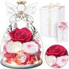 Touloube Festa della Mamma Rosa Stabilizzata Vera Regalo, Regalo Rosa Eterna con Angelo e Luci LED, Regalo Compleanno Anniversario San Valentino per Fidanzata, Moglie, Mamma, Donna, Madre, Nonna