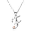 Mesovor Collane in Argento Sterling 925 per Donna, Delicata Collana con Nome Iniziale e Cuore in Oro Rosa, Regali di Gioielli per Fmiglia, Madre, Sorella, Figlia, Moglie