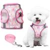 PawSailor Pettorina per Cani Media Anti-trazione con Guinzaglio, Step-in Regolabile Traspirante Riflettente di Sicurezza Notturna con Stampa Floreale, Pettorina per Gilet Imbottita Morbida, Rosa L