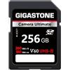 GIGASTONE UHS-II V60 256GB SD Card Camera Ultimate, Velocità fino a 280/180MB/s, U3 SDXC 4K Ultra HD UHD Video per DSLR Canon, Nikon, Sony, Pentax, Kodak, Panasonic, con 1 mini custodia