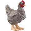 SCHLEICH 13997 Pollo Plymouth Rock, da 3 Anni, Farm World - Figura, 2 x 4 x 4 cm