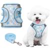 PawSailor Pettorina Cane Gilet Step-in Anti Tiro Pettorina per Cani Anti-Fuga con Stampa Floreale, Easy Walk Traspirante Riflettente Regolabile per Cane Taglia Piccola, Cucciolo, Gatti, Blu S