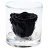 Premium-rose.com Box Tondo con Rosa Rossa stabilizzata Profumata, Box Trasparente da 9cm con Rosa Rossa Vera Eterna | Idea Regalo Natale, Fidanzata,Compleanno, Rose stabilizzate Regalo | Fatto in Italia (Nero 1047)