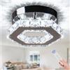Cainjiazh Lampadario Dimmable Cristallo Mini LED Illuminazione a Soffitto Lampada Moderna Lampadario Illuminazione per Camere da letto Ingresso Soggiorno Sala da pranzo Cucina Bar