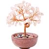 JurciCat Albero della Vita Feng Shui Decorazione 81 Cristalli Ametista Pietra Naturale Preziosa Gusci di Pietra Con Base Decorazione Spirituale Per Regalo e Fortuna（Quarzo rosa）