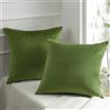 Phantoscope - Set di 2 federe decorative in velluto morbido e solido cuscino quadrato per divano 26 x 26 Lyndee