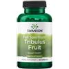 Swanson Health Products Tribulus Fruit 500 mg 90 Capsule
