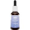 Caregiver 30 ml Gocce orali