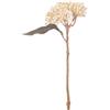 Bizzotto Ortensia Artificiale Loryn Bianco Bizzotto H38cm