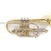 GEWA Roy Benson Bb-Cornet CR-302 (cornetta professionale con alesaggio ML, campana in ottone da 119 mm, leadpipe in ottone dorato, guide esterne in alpacca e valvole in acciaio inossidabile), laccata