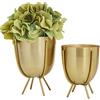 Deco 79 CosmoLiving by Cosmopolitan - Fioriera in metallo per interni ed esterni, piccola pentola con supporto rimovibile, set di 2 fioriere da 6, 7H, oro