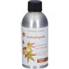 L'Erbolario L´Erbolario Ricarica Fragranza per Legni Profumati Ambraliquida 250 ml Altro