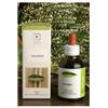 Santiveri RAFANO NE BIO 50ML STV