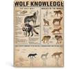 PAIION Wolf Knowledge - Targa in metallo vintage da appendere, cornice in legno, 40,6 x 30,5 cm