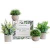 GreenCallow Piante artificiali per la decorazione della casa per interni. 4 mini piante, decorazione di piante finte di rosmarino, pianta di eucalipto, piante erbacee piccole mensole finte o