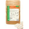 CTn764Laboratories Inulina Pura da Cicoria in Polvere 600 g - Fibra Prebiotica Naturale a Catena Lunga | Supporta la Flora Intestinale e la Digestione | Senza Glutine, Zuccheri e Lattosio | Vegan, Keto Friendly | CTLabs