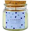 CANDÒR Mini candele profumate in Cera di Soia Artigianale Made in Italy - Piccola Candela Bianca di San Valentino in Vasetto di Vetro con Confezione Regalo - Winter Shuffle
