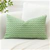 Artscope Federe Cuscini in Velluto a Coste per Divano 40x60cm Copricuscini di Bolla Geometrico Decorativa per Salotto Moderno Cuscino per Camera da Letto, Verde Chiaro