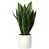 Briful - Pianta artificiale "Sansevieria" in vaso di ceramica bianco, altezza 40,6 cm