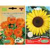 Germisem Biologico Calendula Officinalis Semi di Calendula 2 g & California Wonder Semi di Girasole 4 g