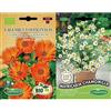 Germisem Biologico Calendula Officinalis Semi di Calendula 2 g & Matricaria Chamomilla Semi 1 g
