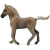 CollectA Rocky Mountain Foal - Cioccolato