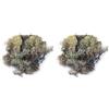 Rayher 8503231 Muschio Islandese, Naturale, Busta 100 g (Confezione da 2)