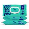 WANNAWIPES Salviette XL Adulti Monouso WC - 144 Pezzi (3 pack) - Menta e Vitamina E - Effetto Rinfrescante e Lenitivo - Extra Spesse - 100% Biodegradabili in Fibre Vegetali - Fresh Mint