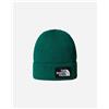THE NORTH FACE - BERRETTO LOGO BOX VERDE