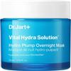 DR. JART DIV. ESTEE LAUDER Srl Dr Jart+ Vital Hydra Solution™ Hydro Plump Overnight Mask