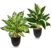 Coco Berming Set di 2 Piante Artificiali da Interno in Vaso, 39cm Piante Verdi Artificiali Decorative da Tavolo in Plastica per Soggiorno, Ufficio, Casa (Bordo bianco + Puntinato)