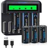 CITYORK C Cell 5000mAh Batteria 8 slot per batterie AA AAA C D Ni-MH (caricatore e 6 batterie Baby C)